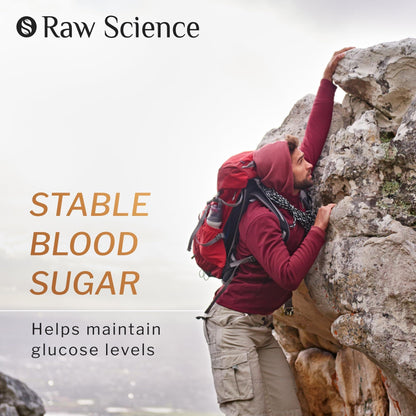 Cinnamon Gummies Blood Support Ceylon Cinnamon Bark 2000MG Blend 60 Gummies